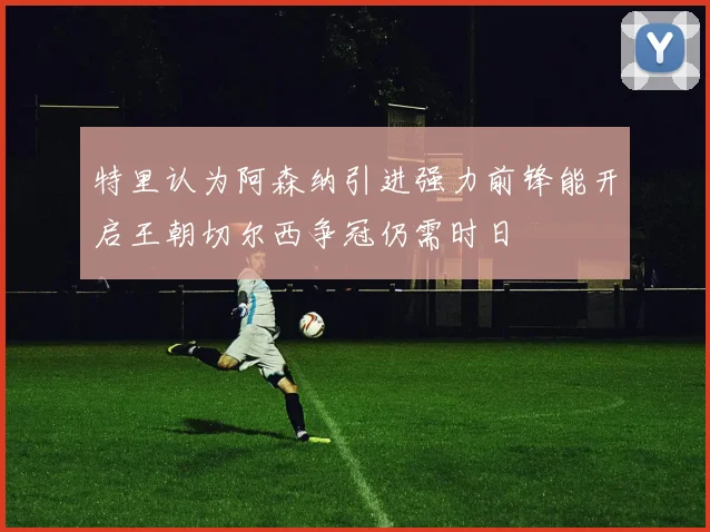 特里认为阿森纳引进强力前锋能开启王朝切尔西争冠仍需时日