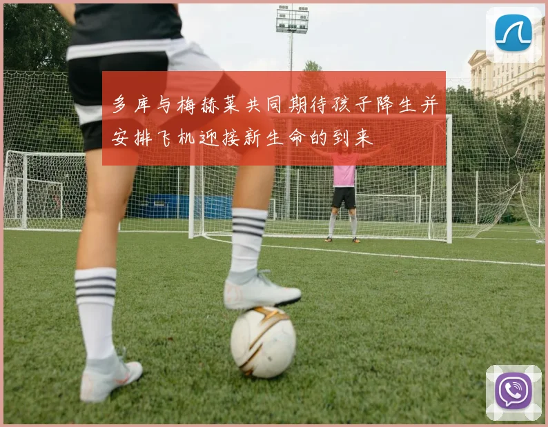 多库与梅赫莱共同期待孩子降生并安排飞机迎接新生命的到来